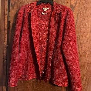 Beautiful two piece cardigan and shell with sequins.  Size XL.  Raphael.